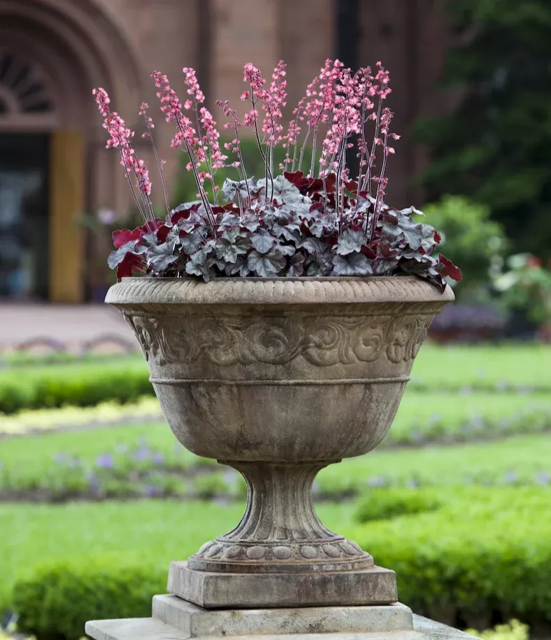 Smithsonian Foliated Scroll Urn by Campania International