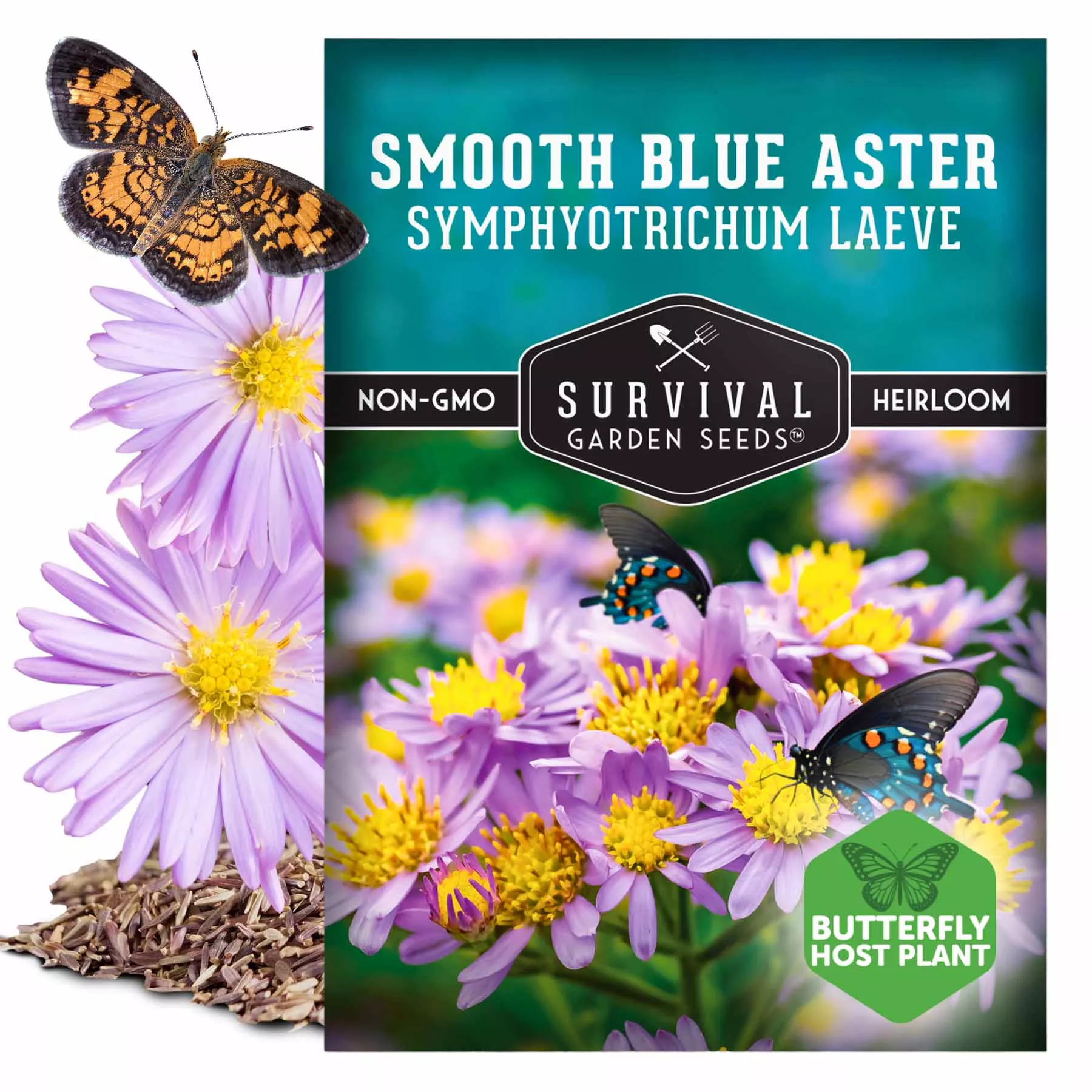 smooth-blue-aster-seeds-2026 Smooth Blue Aster Seeds 2026