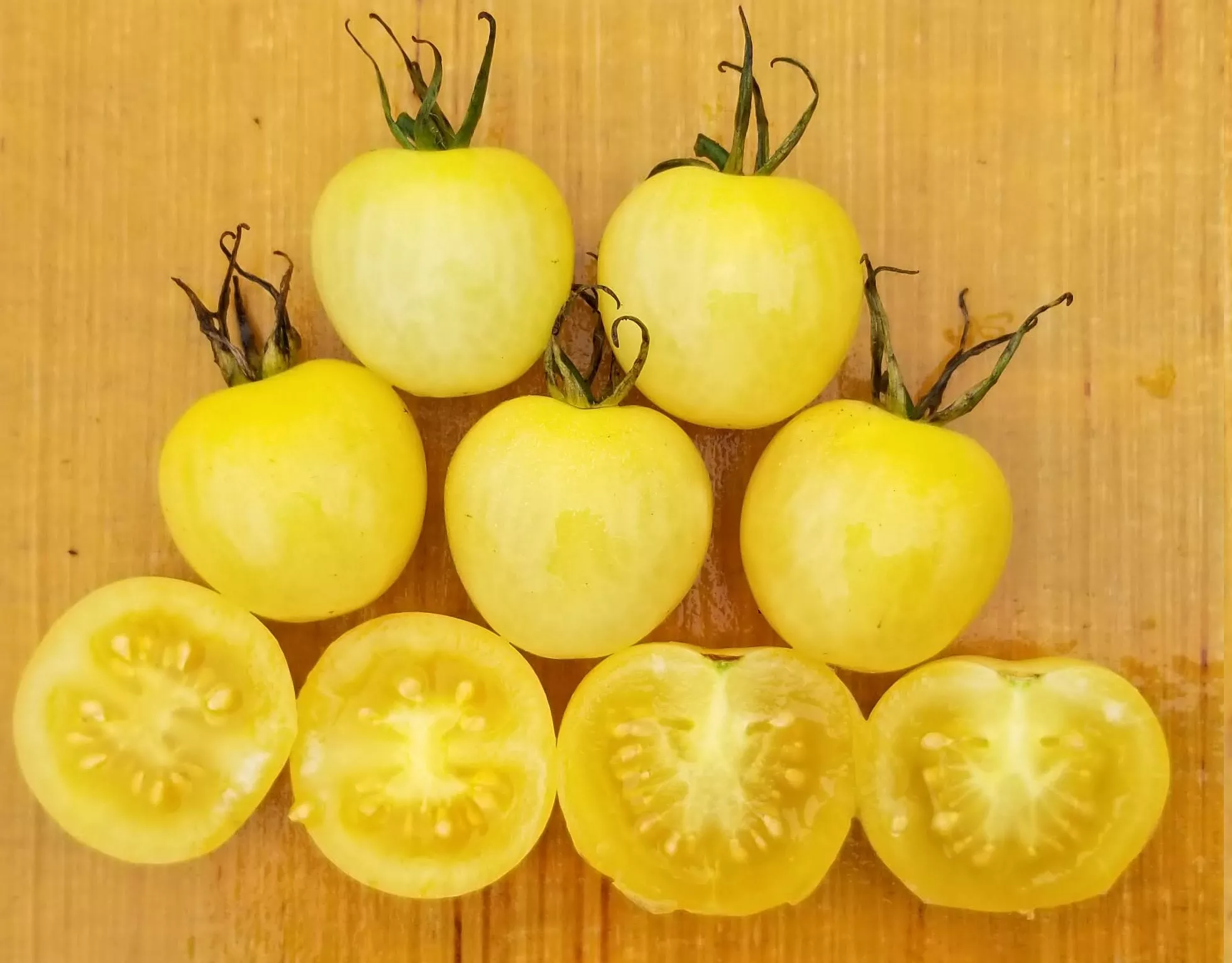 Snow White Cherry Tomato