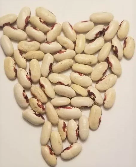 soldier-bean Soldier Bean