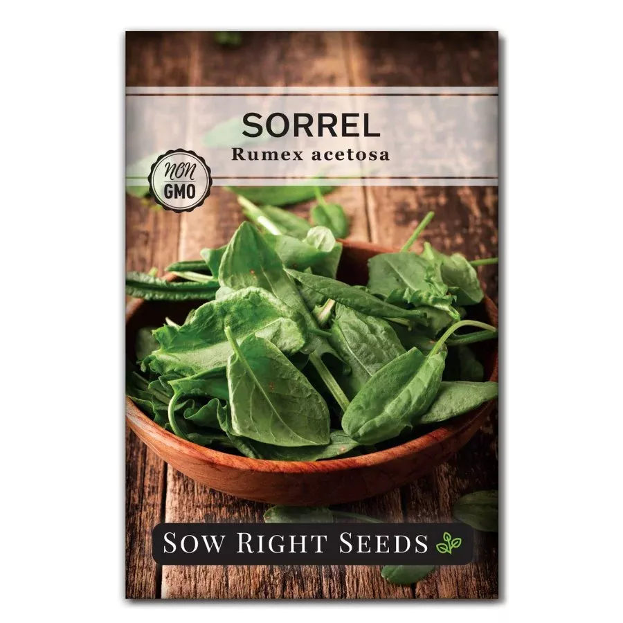 sorrel Sorrel