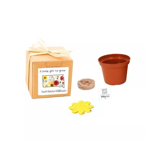 south-dakota-gift-box-grow-kits-wildflower-seeds-by-nature-favors South Dakota Gift Box Grow Kits™ Wildflower Seeds by Nature Favors™