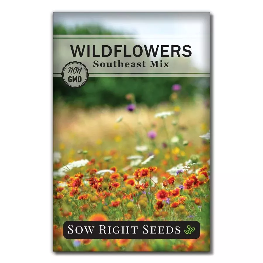 southeast-wildflowers Southeast Wildflowers