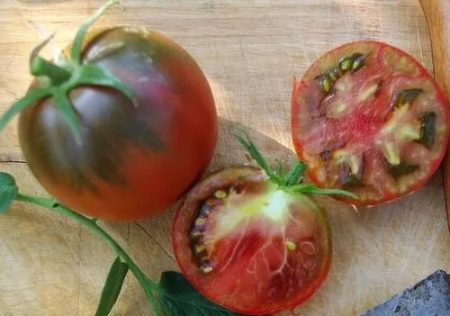 Southern Night Tomato