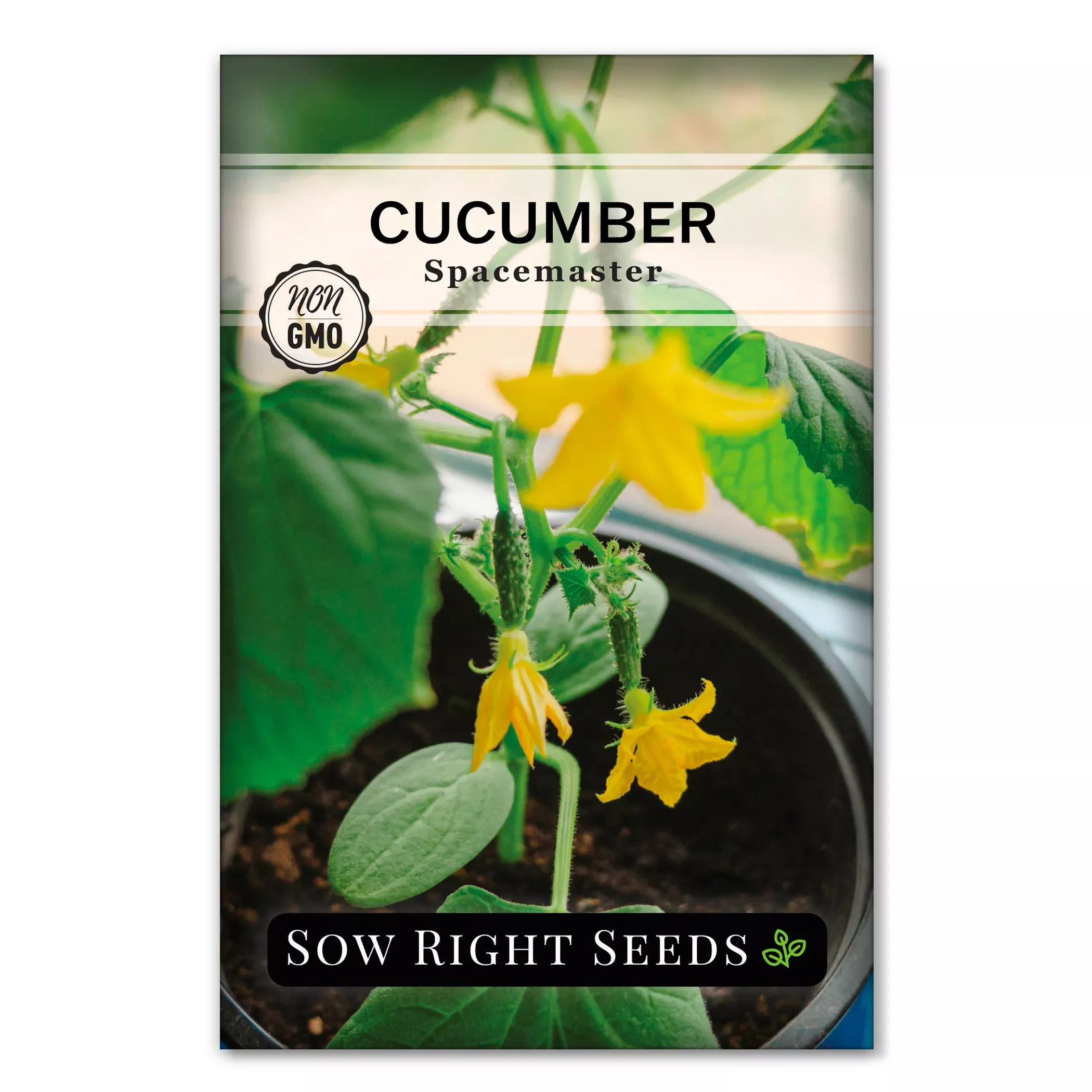 spacemaster-cucumber-seeds Spacemaster Cucumber Seeds