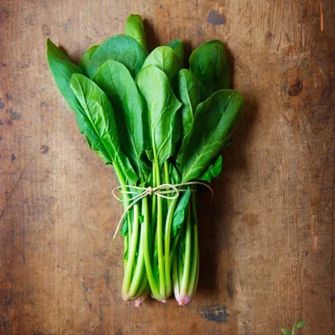 spinach-bloomsdale-seeds Spinach - Bloomsdale seeds
