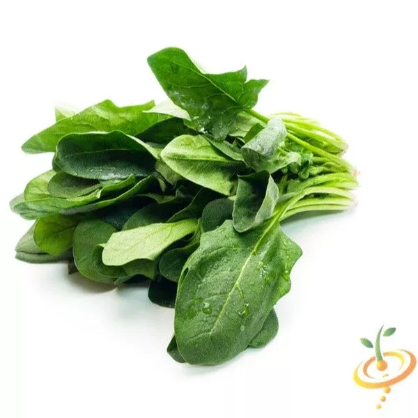 spinach-winter-giant-seeds Spinach - Winter Giant seeds