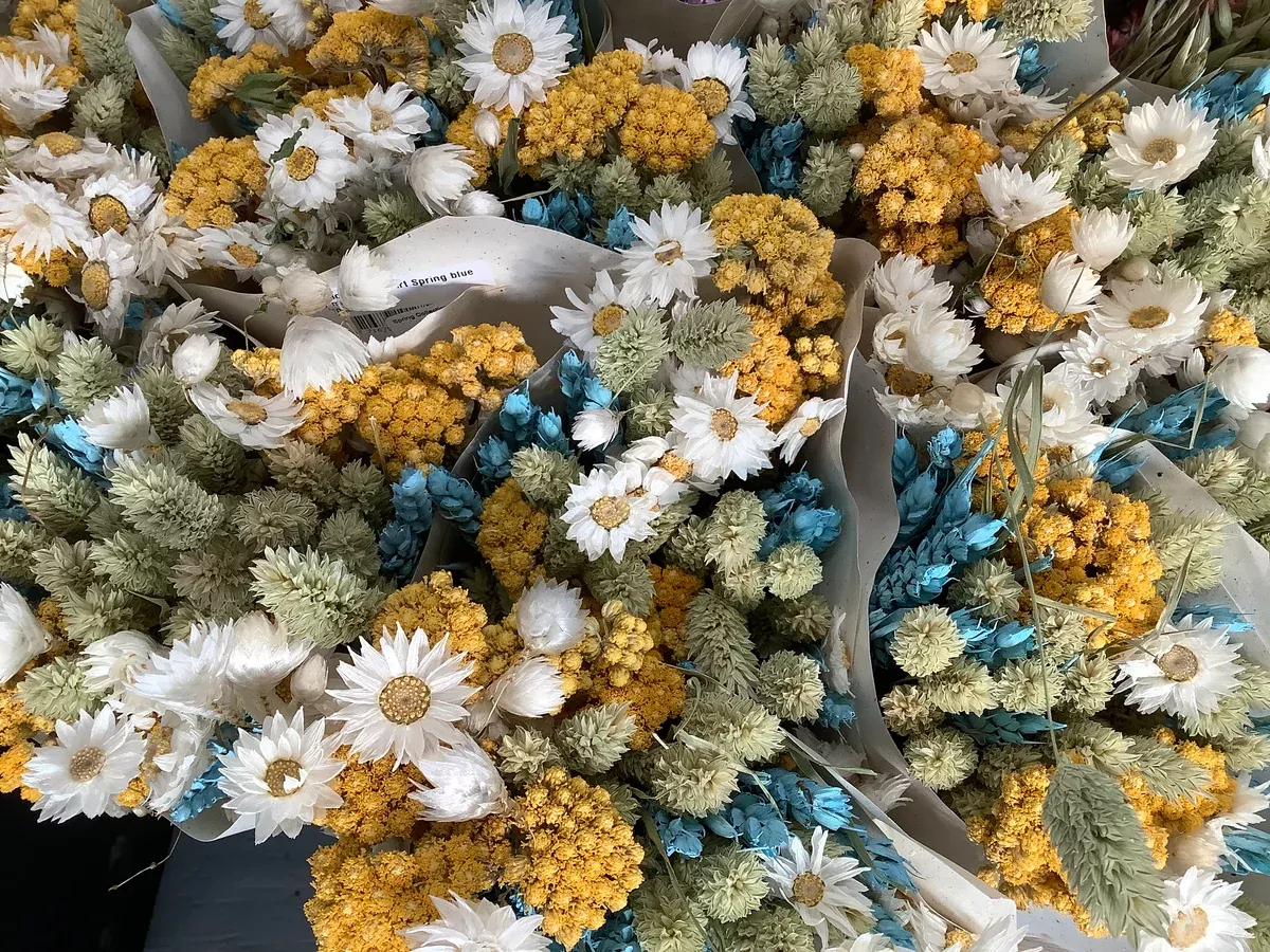 Spring Collection Dried Flower: Misty Blue Bouquet
