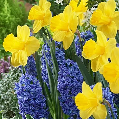 spring-has-sprung-mix Spring Has Sprung Mix