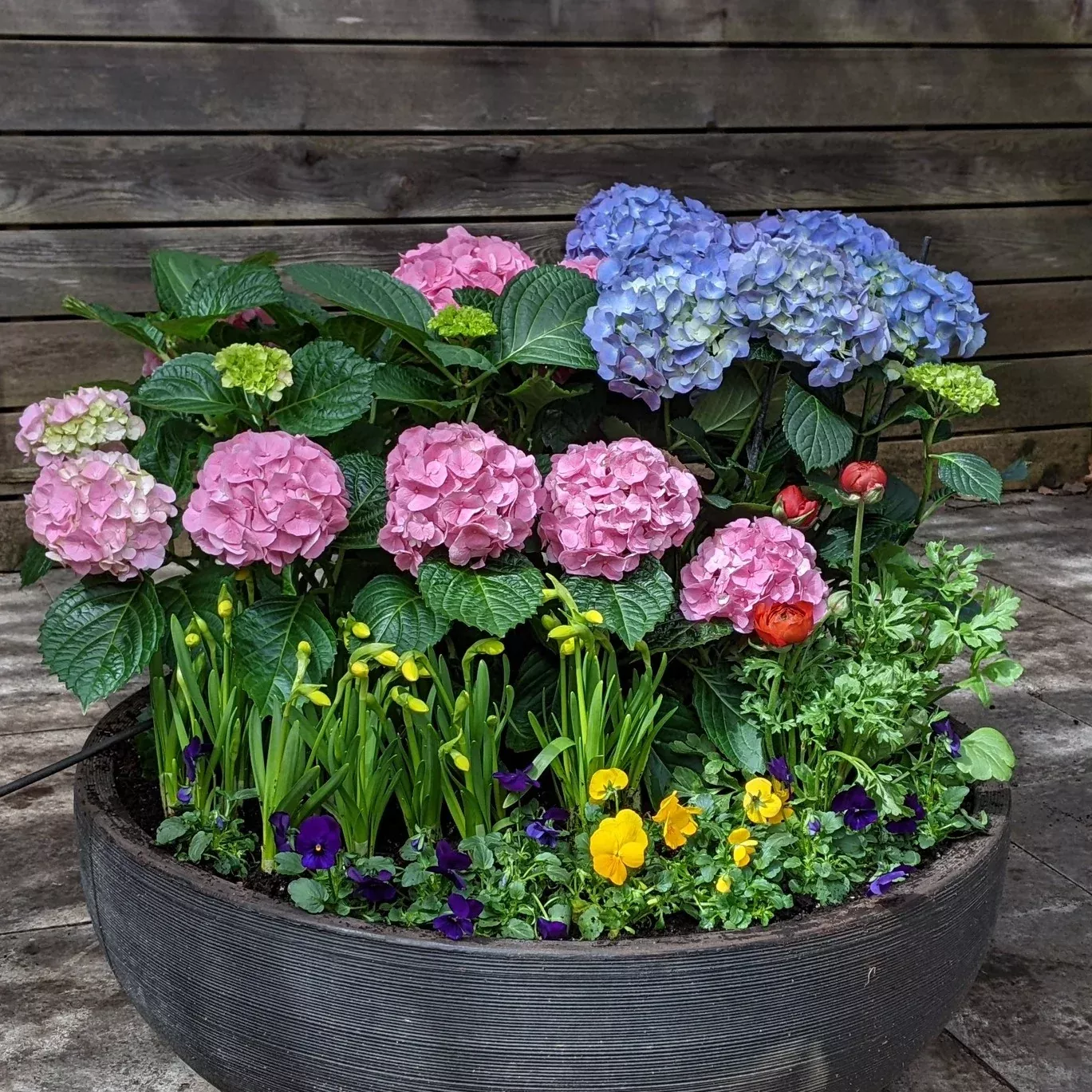 spring-planter Spring Planter