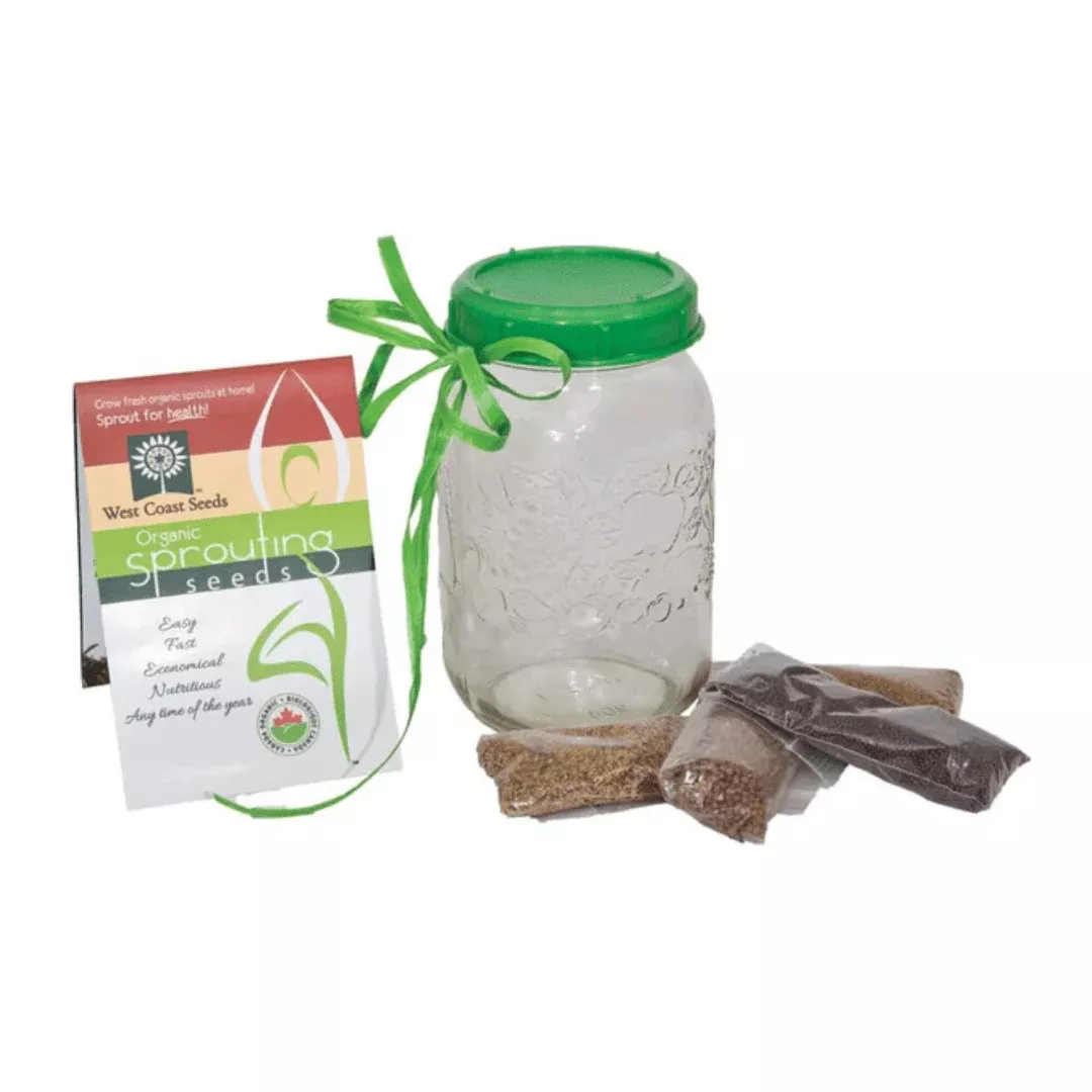 sprouting-jar-with-plastic-lid-seeds Sprouting Jar with Plastic Lid and Seeds