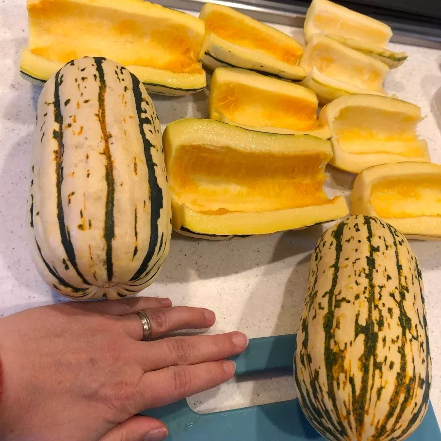 squash-bush-delicata Squash: Bush Delicata