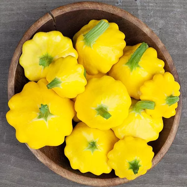 squash-patty-pan-y-star Squash: Patty Pan: Y-Star