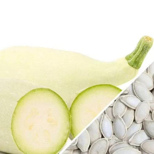 squash-summer-marrow-white-seeds Squash (Summer) - Marrow, White seeds