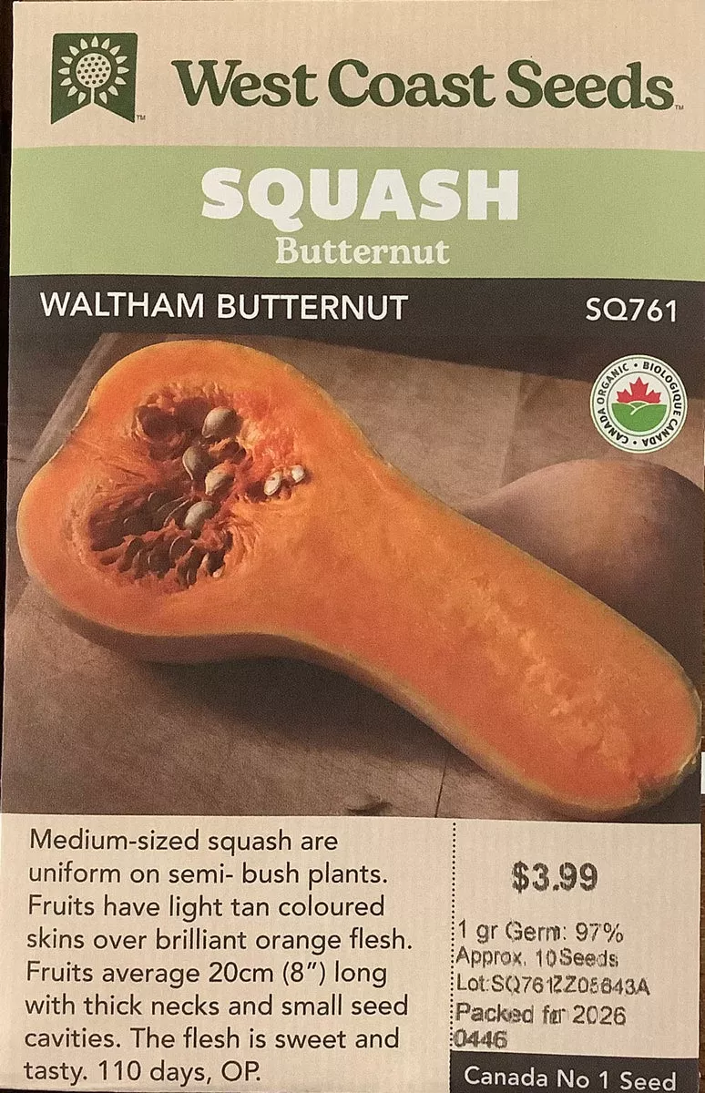 Squash - Waltham Butternut