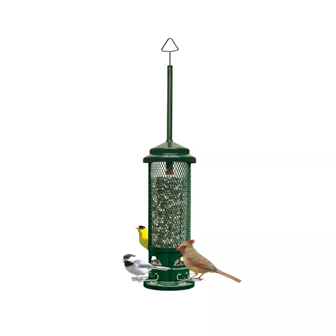 squirrel-buster-legacy Squirrel Buster Legacy