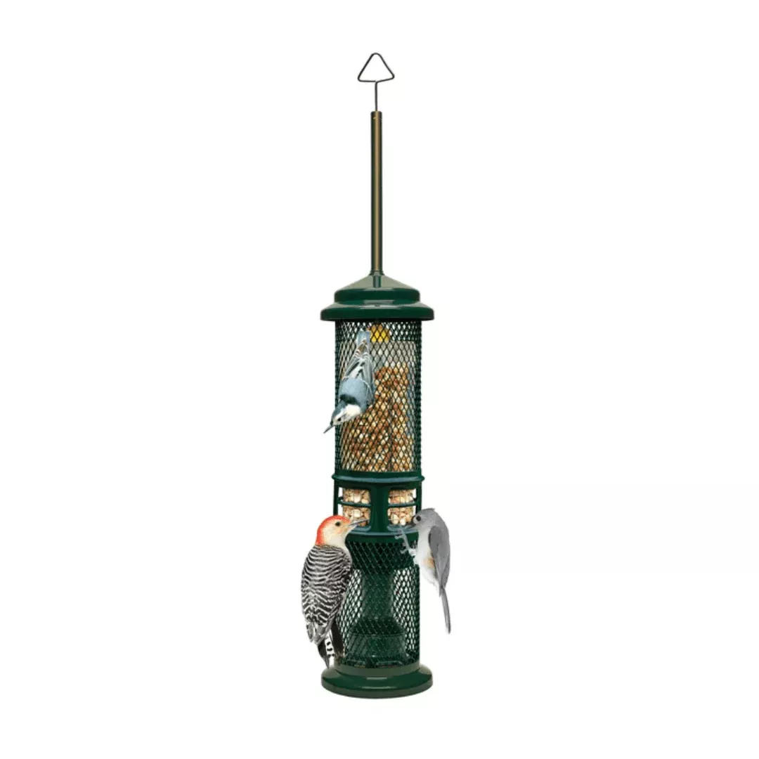 squirrel-buster-nut-feeder Squirrel Buster Nut Feeder