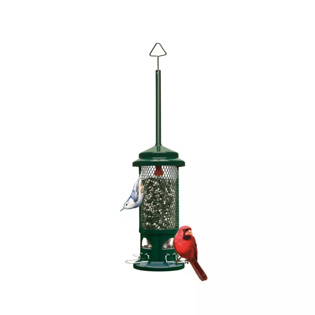 squirrel-buster-standard Squirrel Buster - Standard