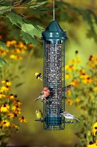 squirrel-buster Squirrel Buster