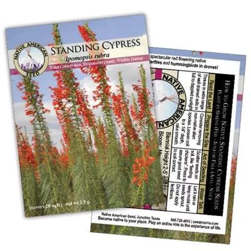 standing-cypress-seed-packet Standing Cypress - Seed Packet
