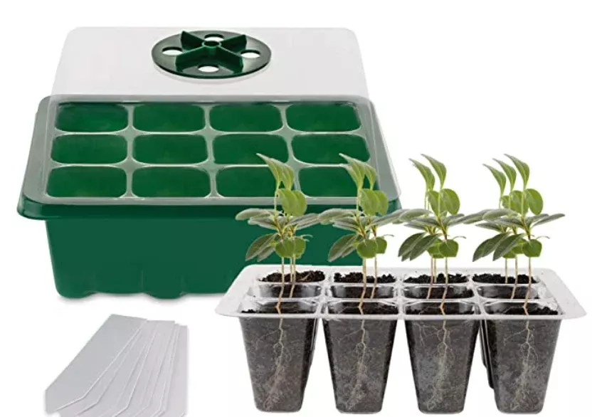 starter-tray-with-lid Starter Tray with Lid