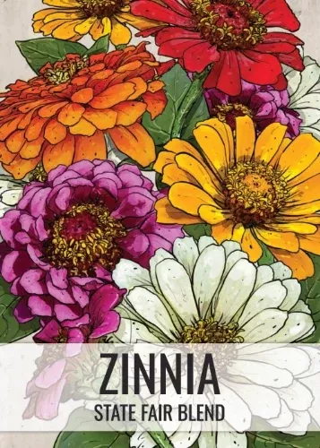 State Fair Zinnia Mixture (Zinnia elegans)