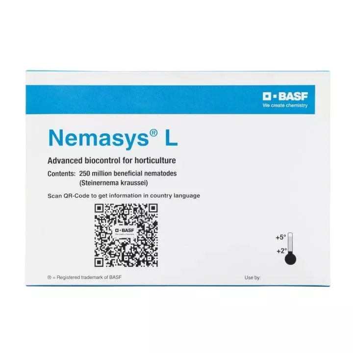 steinernema-kraussei-beneficial-nematodes-weevil-control Steinernema kraussei - Beneficial Nematodes for Weevil Control