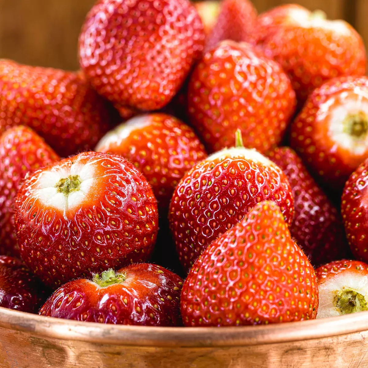strawberry-albion-day-neutral-gmo-free Strawberry - Albion - Day-Neutral - GMO Free