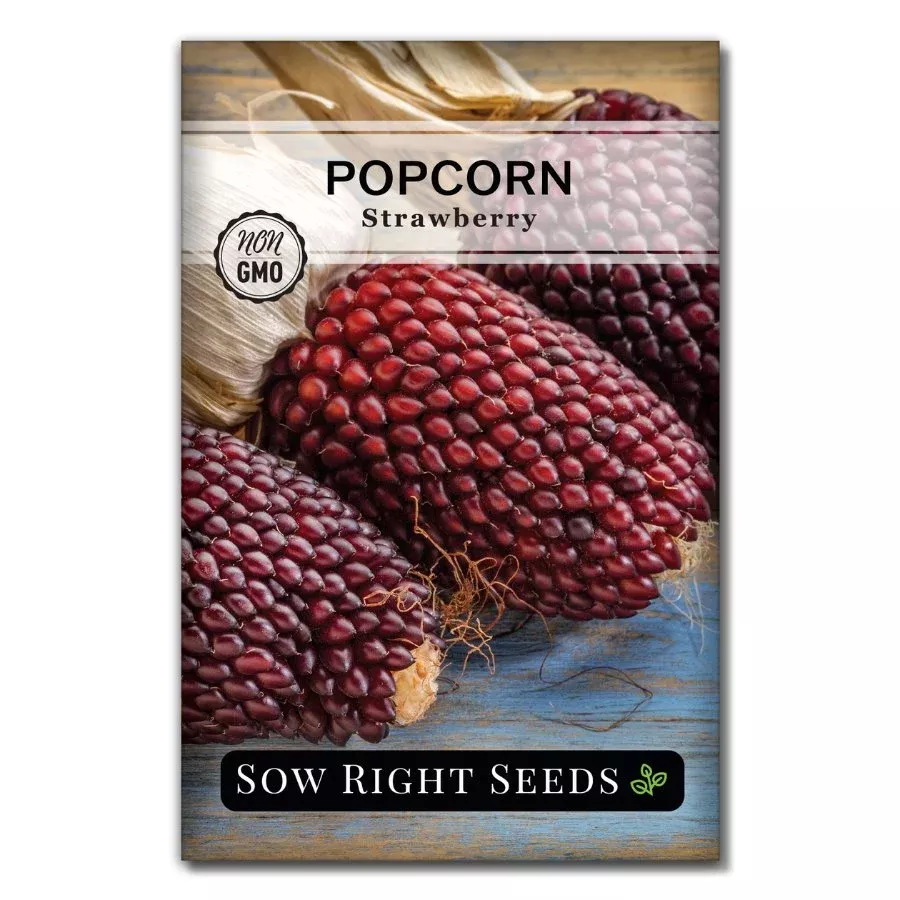 strawberry-popcorn Strawberry Popcorn