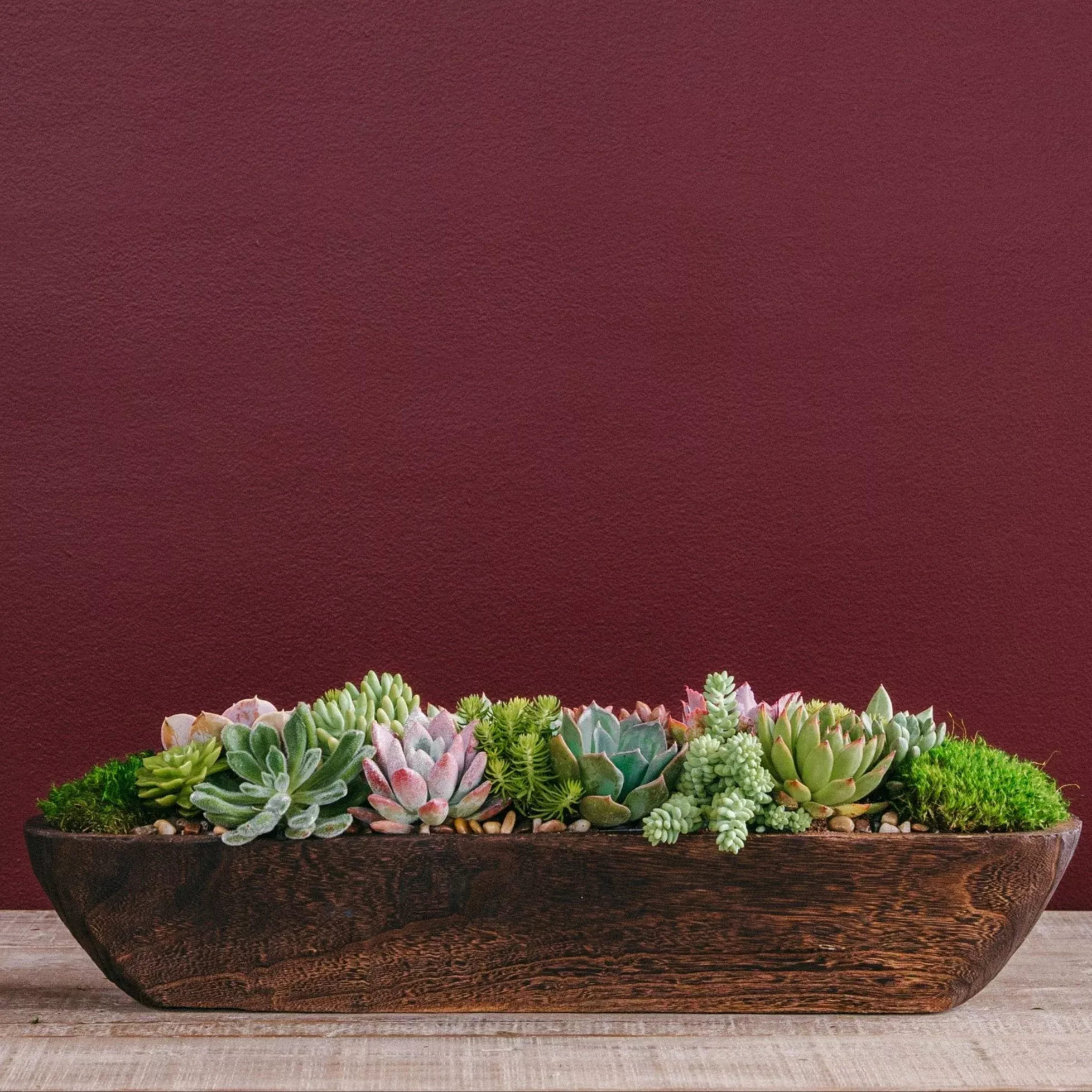 succulent-centerpiece-arrangement Succulent Centerpiece Arrangement