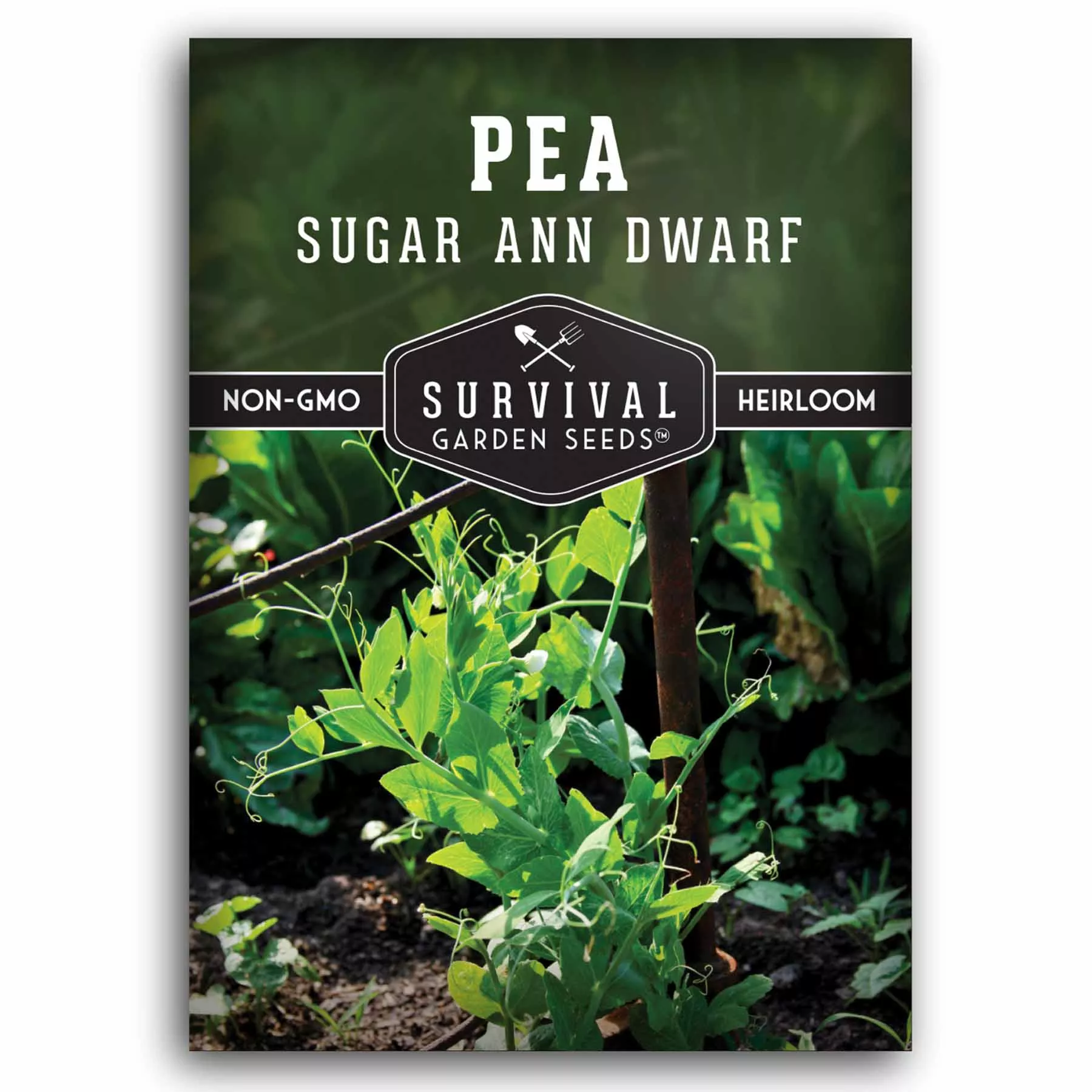 Sugar Ann Dwarf Pea Seeds – Early, Compact Snap Peas for Containers & Small Gardens