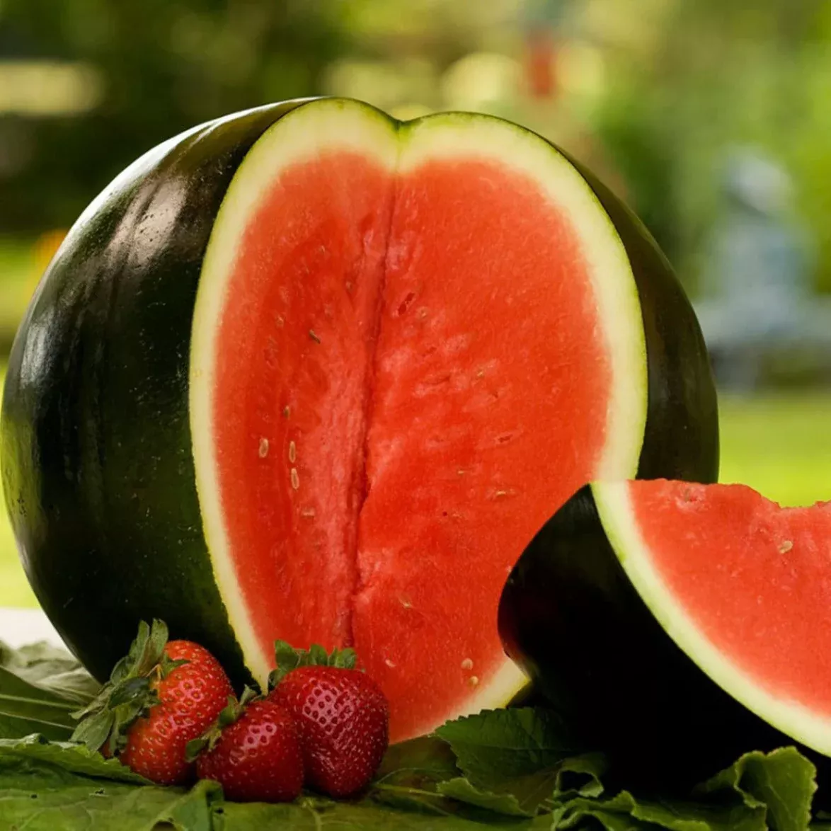 Sugar Baby Watermelon