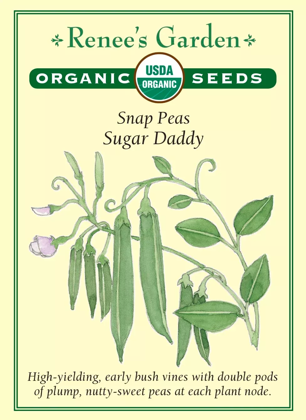 sugar-daddy-organic Sugar Daddy Organic