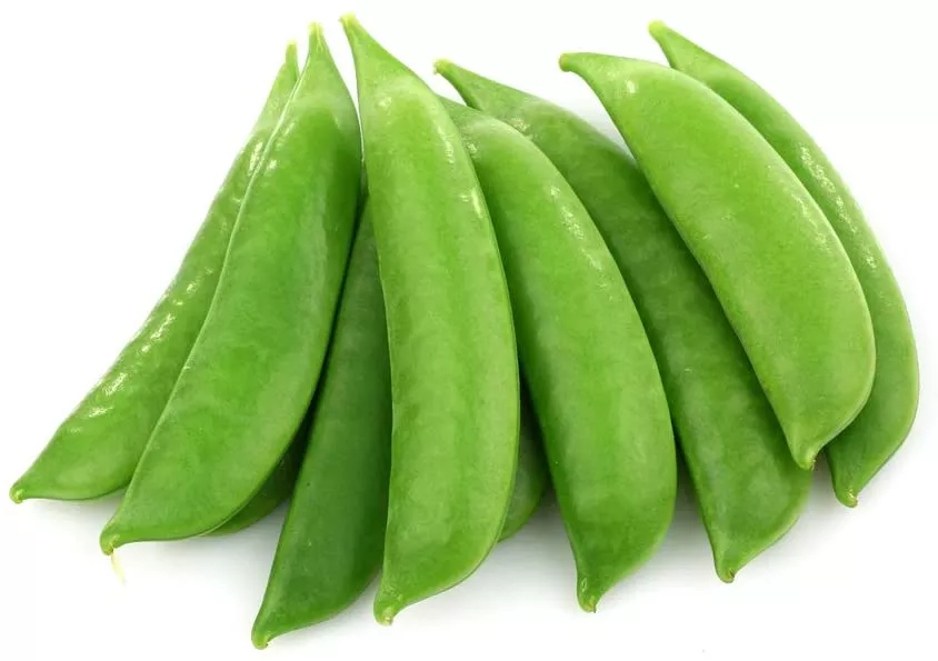 sugar-daddy-snap-pea Sugar Daddy Snap Pea