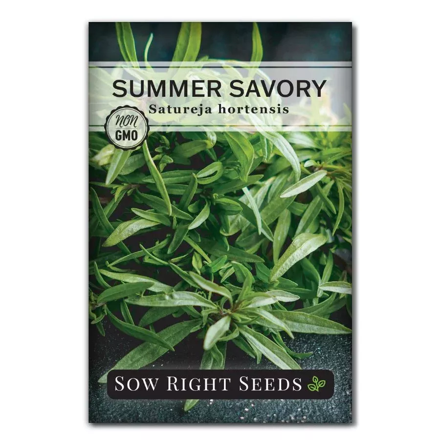 Summer Savory