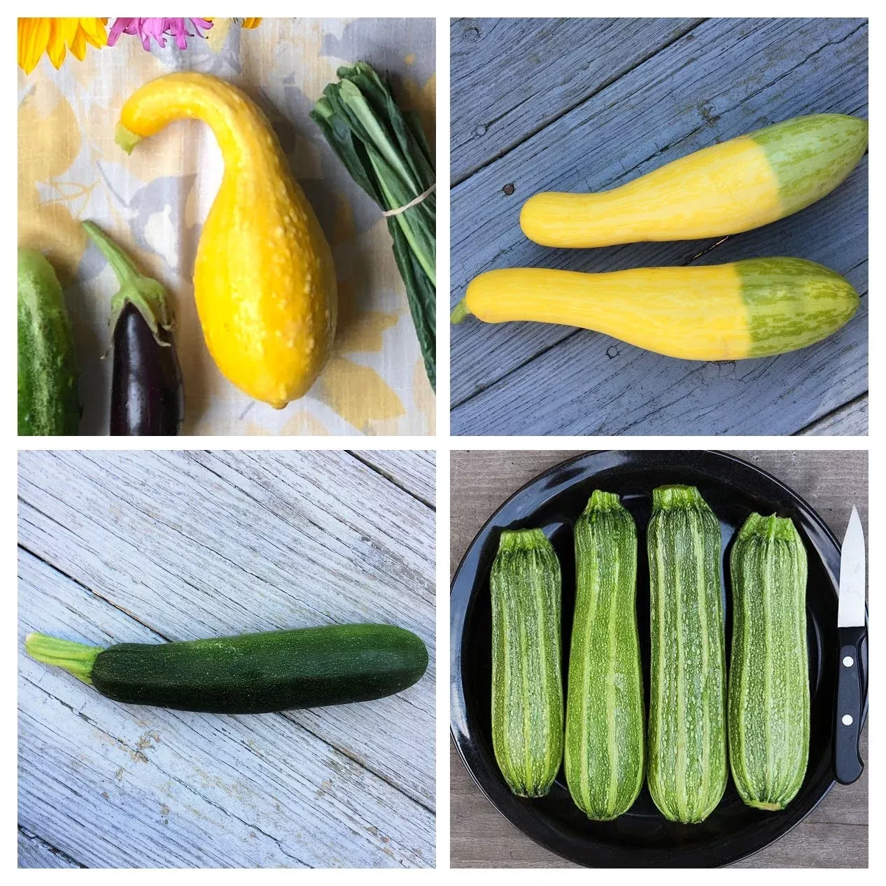 summer-squash-variety-4-pack Summer Squash Variety 4-pack