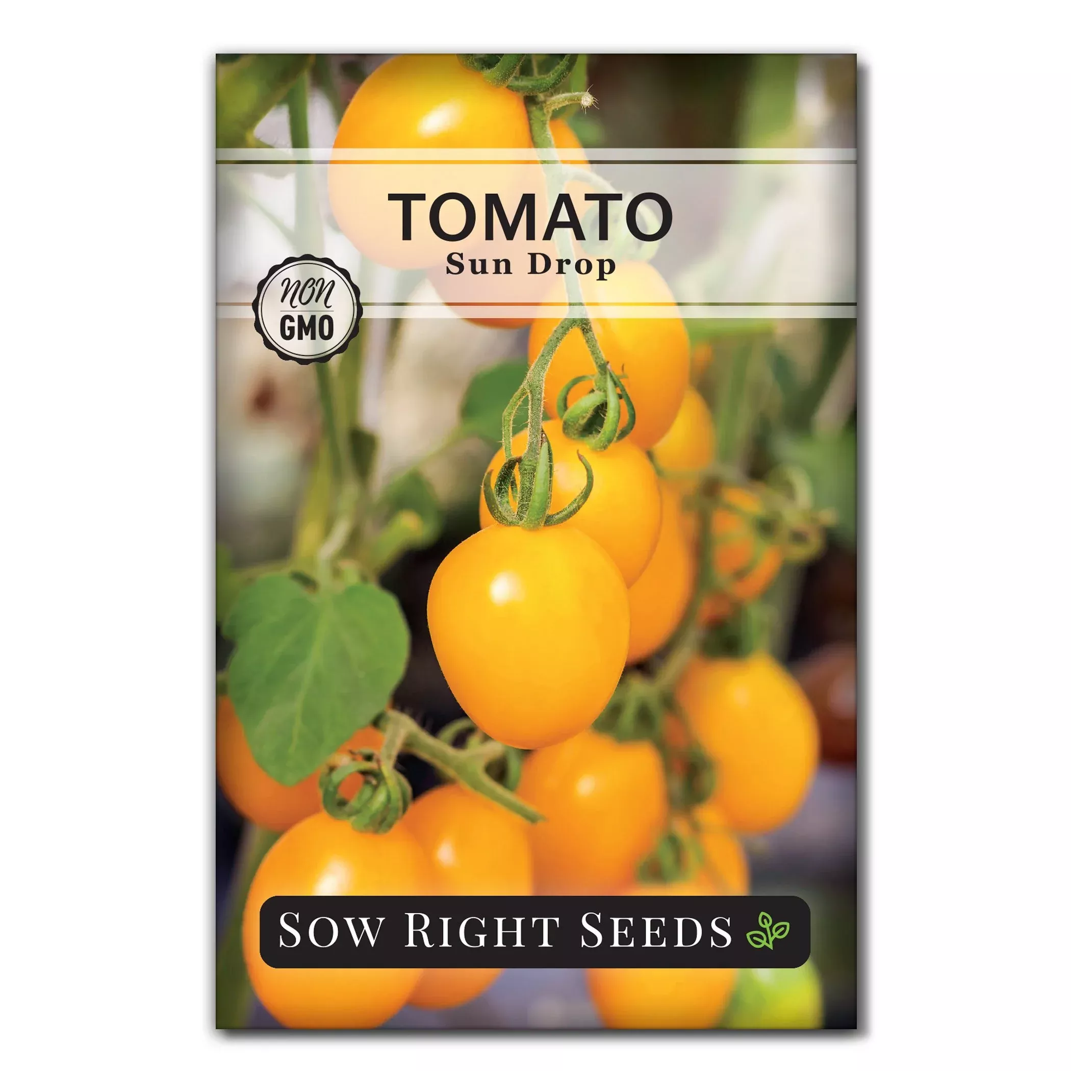 sun-drop-tomato-seeds Sun Drop Tomato Seeds