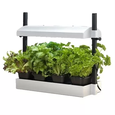 SunBlaster Growlight Micro Garden