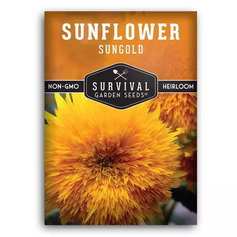 sungold-teddy-bear-sunflower-seeds-heirloom-non-gmo-dwarf-pom-pom-variety-contai Sungold Teddy Bear Sunflower Seeds – Heirloom Non-GMO Dwarf Pom-Pom Variety for Containers, Borders & Cut Flower Gardens