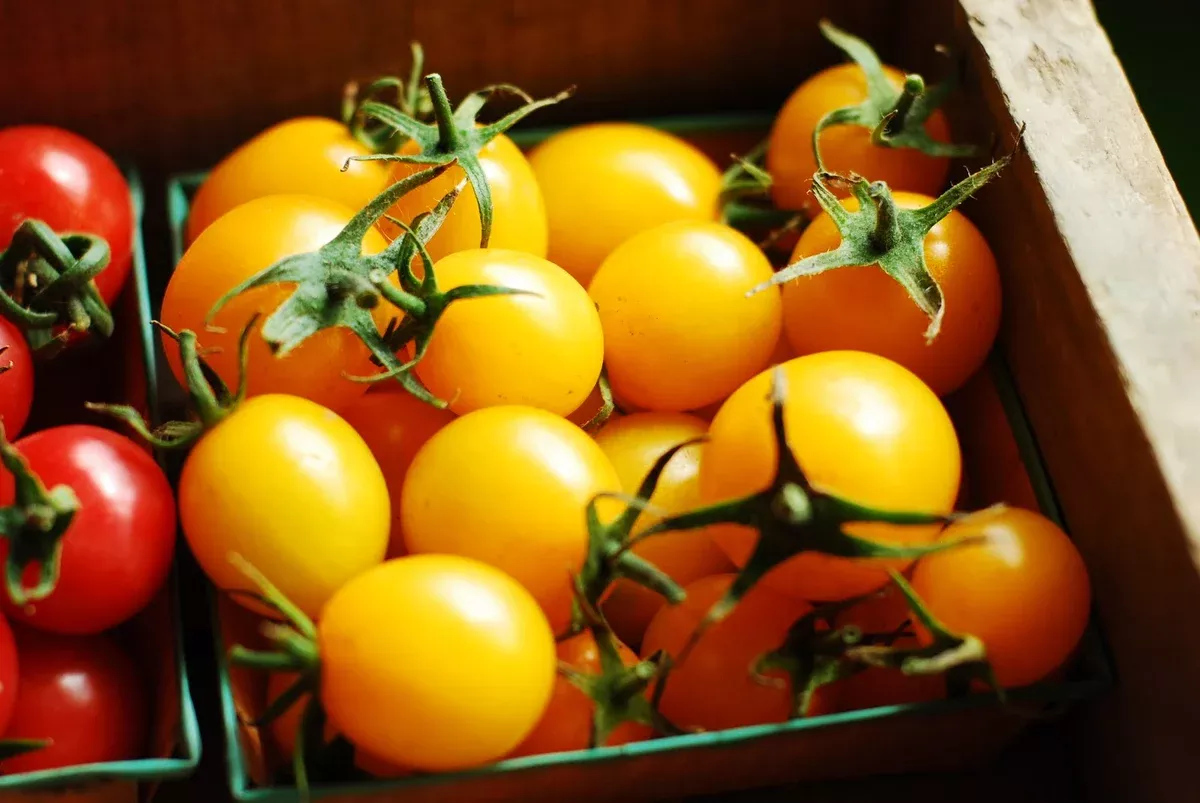 sunlemon SunLemon