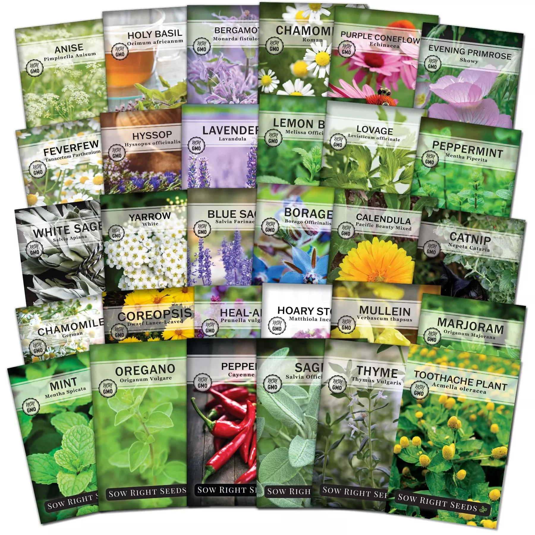Super Large Medicinal Herb Collection
