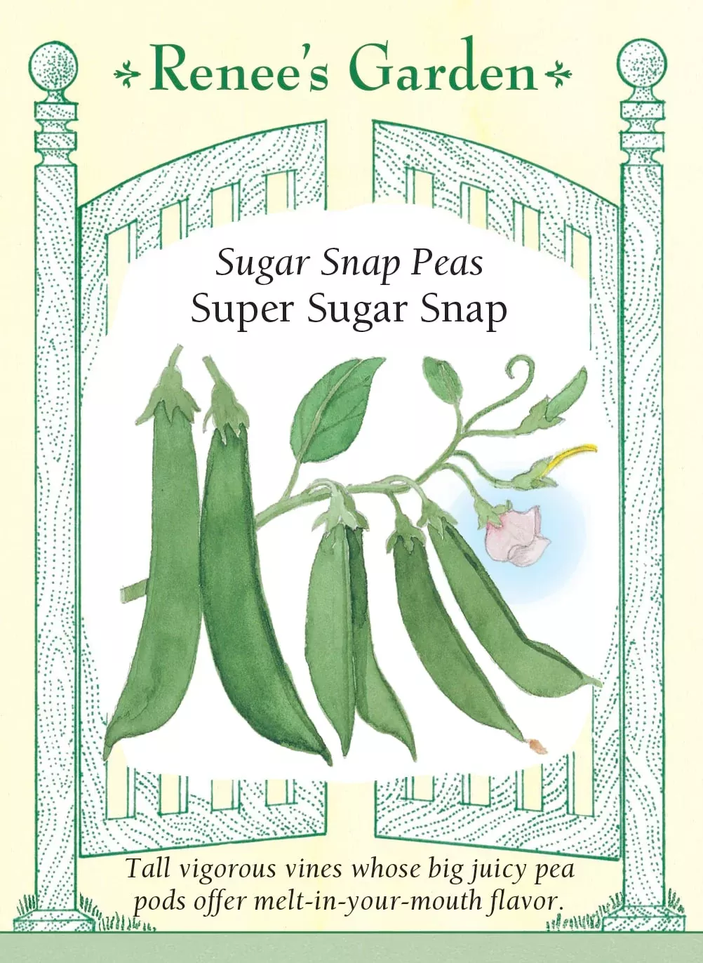 super-sugar-snap Super Sugar Snap