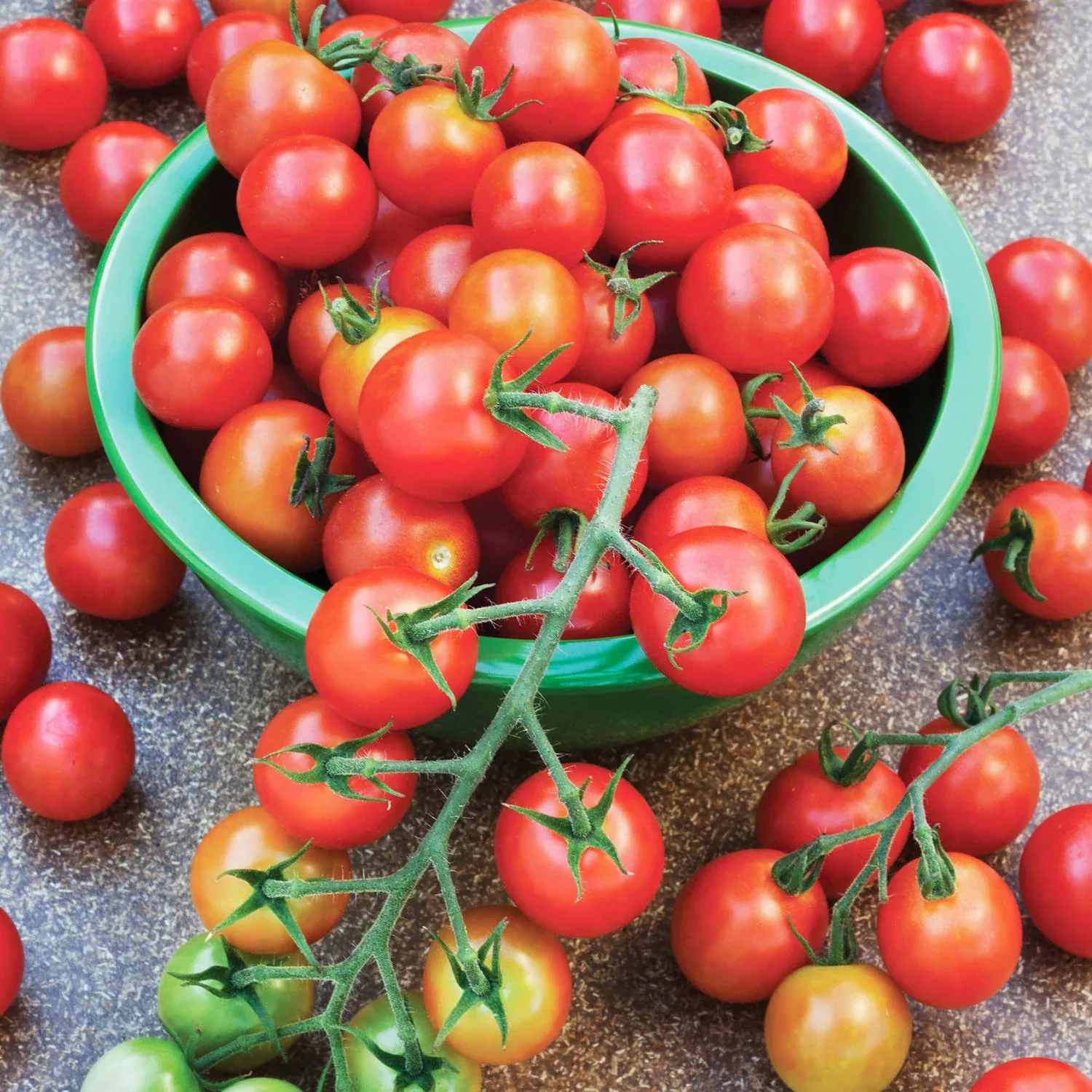 Super Sweet 100 Tomato (2 Pack)