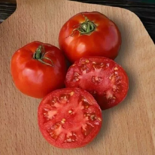 Supersonic Tomato Seeds