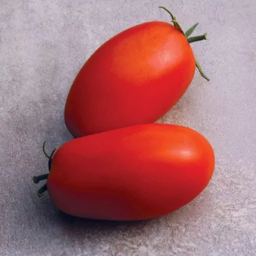 supremo-tomato-seeds Supremo Tomato Seeds