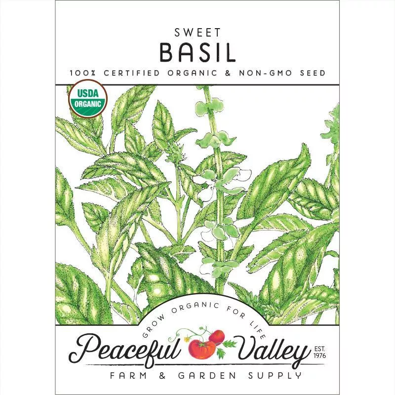 sweet-basil-seeds-organic Sweet Basil Seeds (Organic)