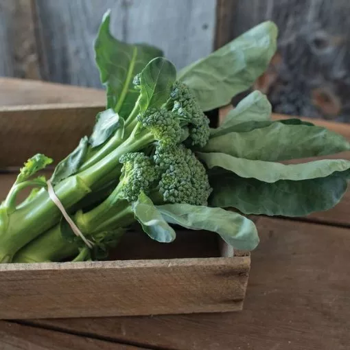 sweet-bunch-broccoli-seeds Sweet Bunch Broccoli Seeds