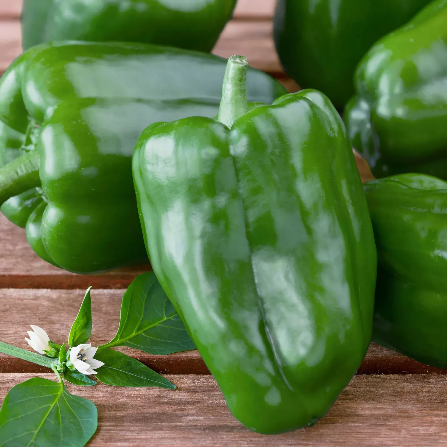 Sweet Green Bell Pepper (2 Pack)