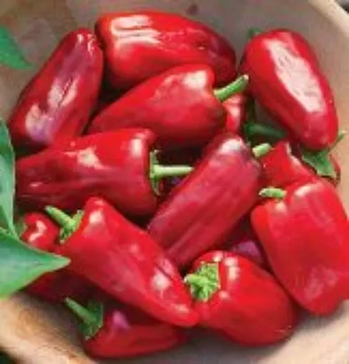 Sweet Heat Pepper Seeds