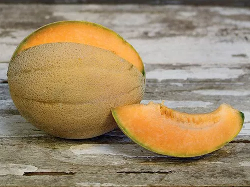 sweet-passion-cantaloupe Sweet Passion Cantaloupe